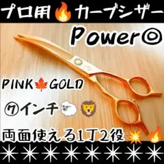 Item thumbnail for item 8d86f84f-d619-45ff-ab5b-63924f40c877
