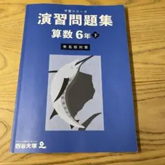 四谷大塚　予習シリーズ　演習問題集　算数　6年　下　有名校対策