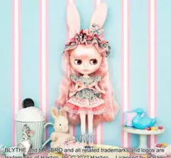 フェリシモ　クチュリエアミィ　ドール用花柄のコスチュームとヘッドドレスのキット