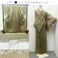 ヱビス■ しょうざん生紬 きもの