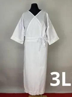Item thumbnail for item 8a79260b-71b0-40ce-bc11-0c58d7b93cce