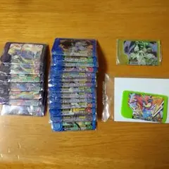 23枚 ポケモンフレンダ ゼルネアス ゼクロム ボーマンダ スーパートレジャー