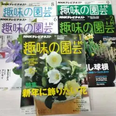 趣味の園芸 2014年1月号 2月号 6月号 8月号 9月号 5冊セット
