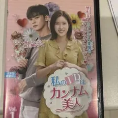 私のIDはカンナム美人 1～12巻