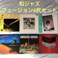 森園勝敏／バッド・アニマ、レコード盤ほぼ新品 国内盤 森園勝敏/バッドアニマ/ELECTRIC BIRD SKS8003 LP - メルカリ