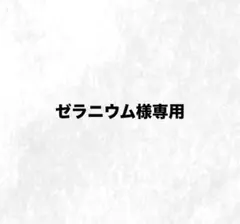 マジョールスキンリータナルパック➕パパイヤパック サロン専用パック （パパイヤ・ヨーグル・スキンリターナル