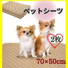 Item thumbnail for item 39983a8e-67ab-48ba-bcf6-2ff9f1d7b0aa