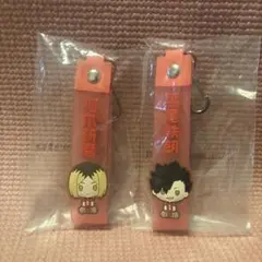 一番くじハイキュー！！10th anniversary【H賞】