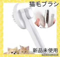 Item thumbnail for item d8d57623-bf65-4033-abf5-290a3a417ef4