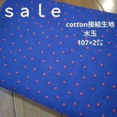 Item thumbnail for item 3a32d5af-c56a-4f77-8cd9-110a492d97aa