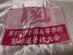 甲子園 第97回全国高等学校野球選手権大会