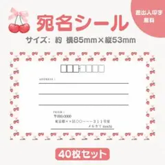 宛名シール さくらんぼ② 小さめサイズ 40枚セット