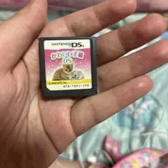 かわいい子猫 DS