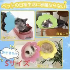 Item thumbnail for item 85daf738-c1d1-4c42-b855-3ed69ea1c067