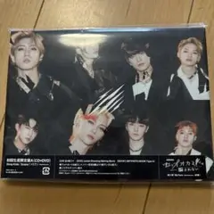 Stray Kids Scars /ソリクン 初回限定盤 CD+DVD 特典付き