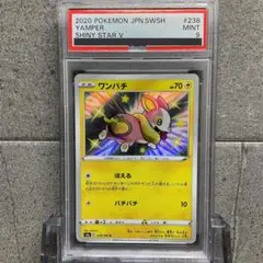 【PSA9】ワンパチ　色違い　S 238/190