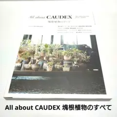 2025年最新】all about caudexの人気アイテム - メルカリ