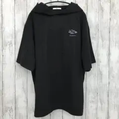Item thumbnail for item b4a2749c-9c96-4f9c-a94a-b16ea4f5312a