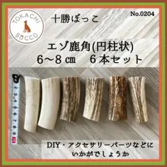 エゾ鹿角（円柱状）6本セット 6〜8cm　No.0204