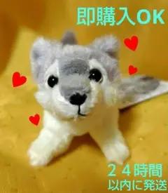 【廃盤超レア】三峯神社　ぬいぐるみ　オオカミ　マグネット★神さまが宿っている？★