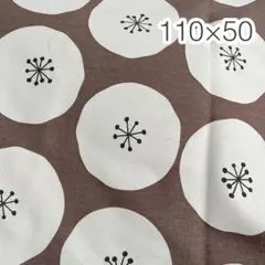 110×50 あんぱんドット ブラウン地 オックス