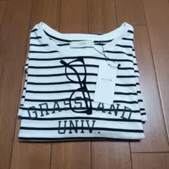 新品未使用anyFAM半袖Ｔシャツ（F）