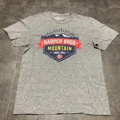 Tシャツ 古着　半袖　グレー　ヴィンテージ　b34