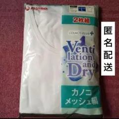 メンズ 半袖 シャツ 下着 2枚組 Lサイズ