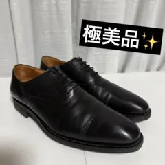 ⭐️極美品⭐️スコッチグレイン　2776 ビジネスシューズ　シャインオアレイン　黒 SCOTCH GRAIN スコッチグレイン 2776 シャインオアレイン