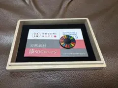 SDGs 漆塗りバッジ　マグネットタイプ