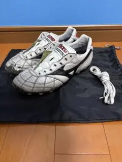 MIZUNO モレリア2JAPAN 25cm