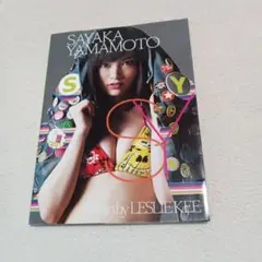 SY : SAYAKA YAMAMOTO
