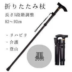 Item thumbnail for item 699bce05-e704-452b-aa74-13d14f731341