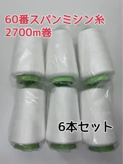 Item thumbnail for item 4456bb22-216c-4b0f-8200-eed7acbcb4cd
