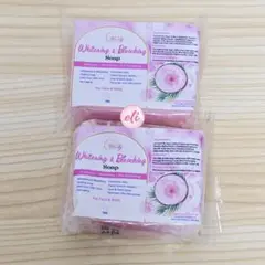 Item thumbnail for item 2c98f7f4-8740-4bbb-af39-7d8dfc26b2ac