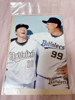 オリックス 山本由伸 杉本裕太郎 フォト