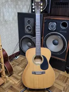 アコースティックギター TETOMAS mt0137103_m.jpg