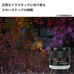 Item thumbnail for item 1a595183-6639-47ac-873e-e3b880dcd58d