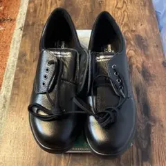 Item thumbnail for item 9eba5559-9209-465b-88a2-76181c76955f