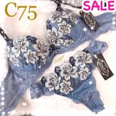 24時間以内発送❣️ブルーC75❤︎ミスティローズ♥️ブラTバックセット✨ワコール系