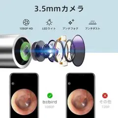 Item thumbnail for item a1987fdb-eb86-4e8b-80ed-9c8047fb473a