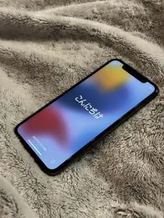 iPhone X Space Gray 256 GB SIMフリー