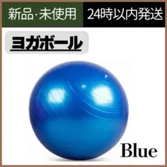 【新品未使用】バランスボール　ブルー　トレーニング　ヨガボール　55cm