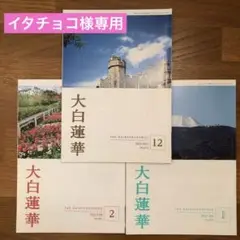 2025年最新】大白蓮華 冊の人気アイテム - メルカリ