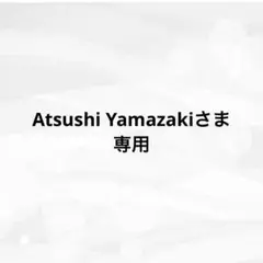Atsushi Yamazakiさま専用