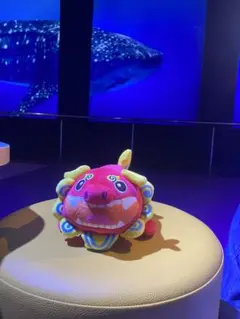 DMM かりゆし水族館 カラフルシーサーくじ(沖縄限定)