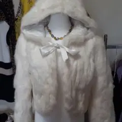 ファー姫LIZ LISAジャケット