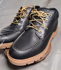 Item thumbnail for item d3e7c2b4-6337-4072-ac0c-2efce82b4e2d