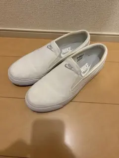 Item thumbnail for item ba6ae874-445d-45e7-9d8c-4e839352e484