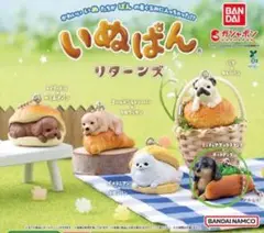 いぬぱんリターンズ　ダックス